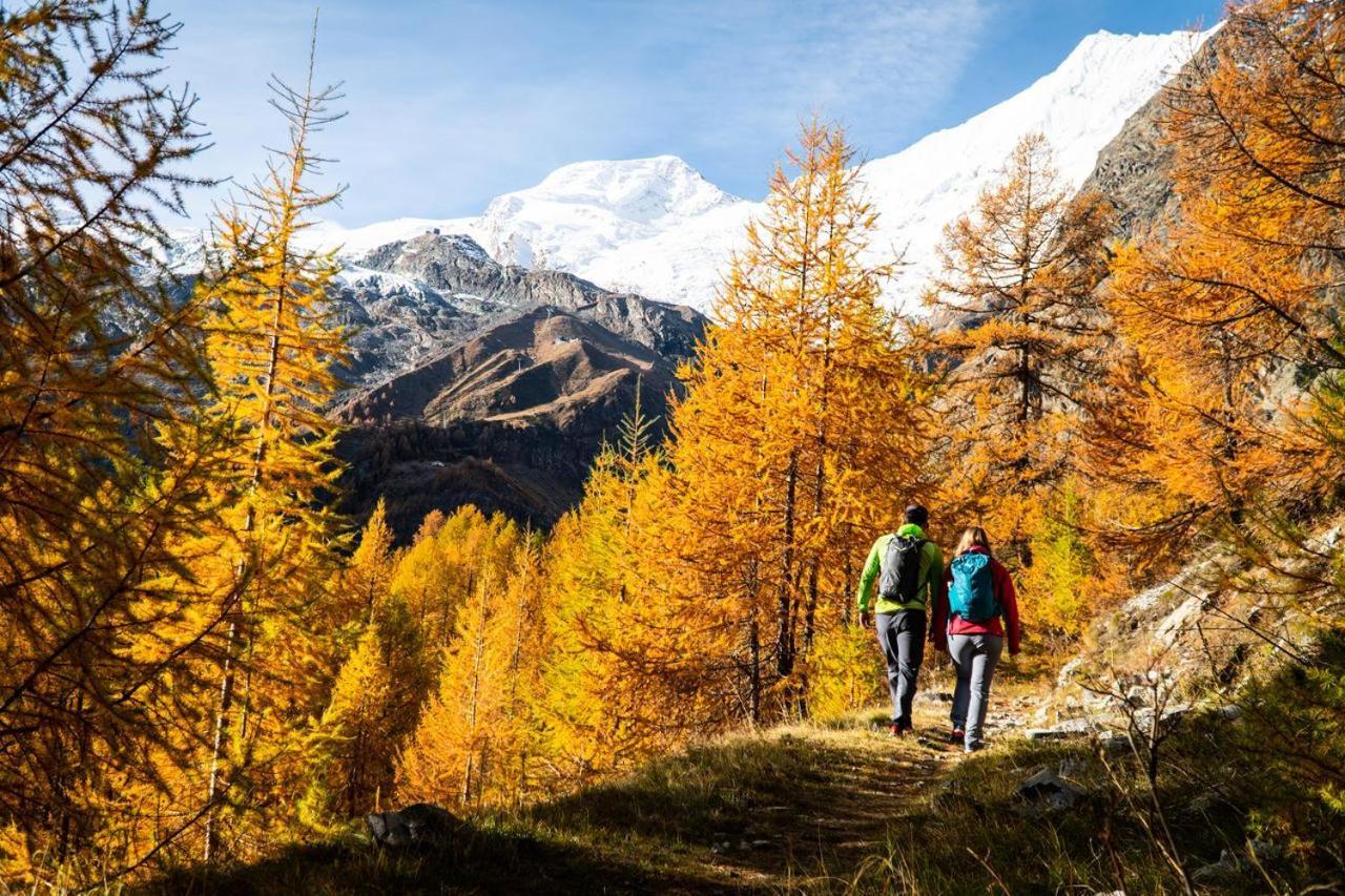 Self-Service Guesthouse Berggeist Saas Fee Eksteriør billede